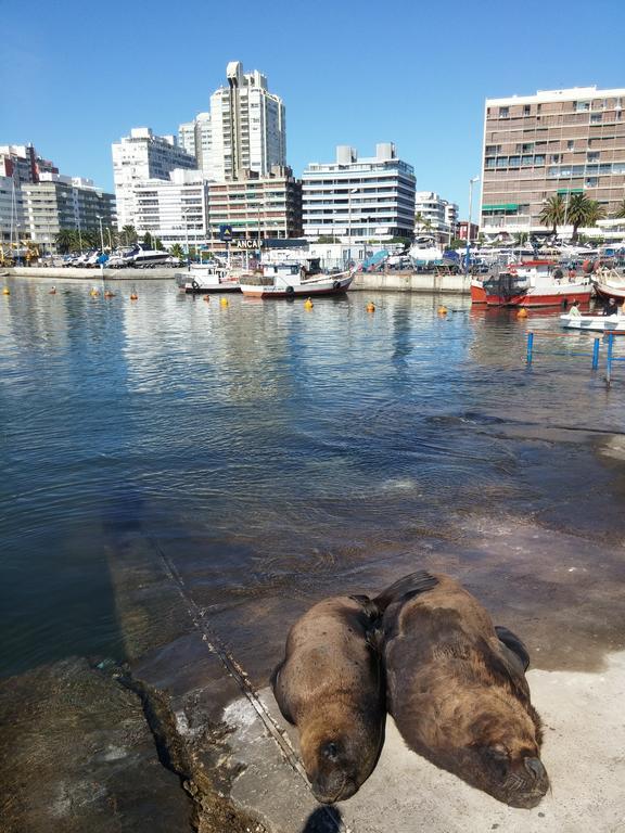 Edificio Canal Azul Punta del Este Extérieur photo